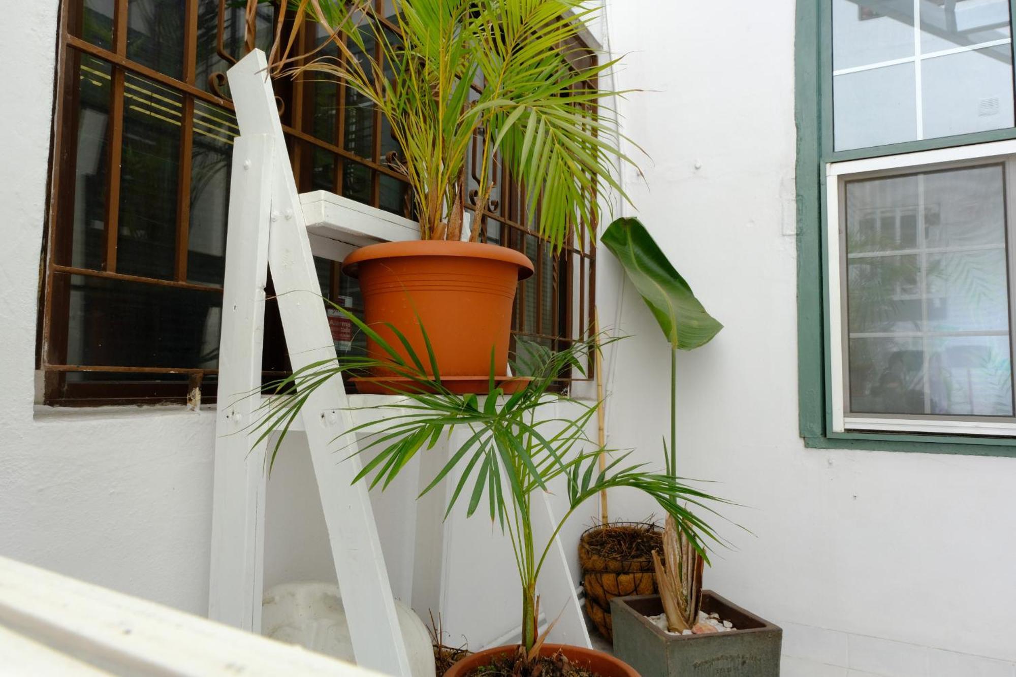 Rooftop Dreamhouse - 3Br With Seaviews Santa Cruz de la Palma  Exteriér fotografie