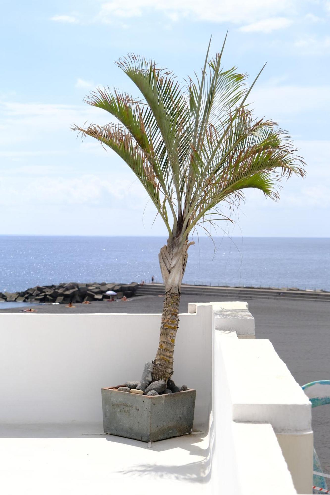Rooftop Dreamhouse - 3Br With Seaviews Santa Cruz de la Palma  Exteriér fotografie